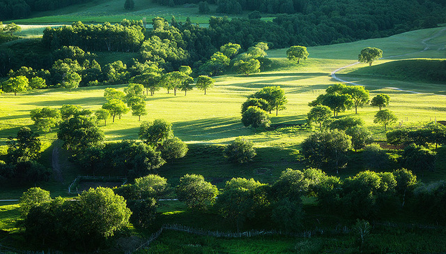 塞罕坝,林子,鼠妇,苗龄,径级,樟子松人工林,阻隔带,生态变迁,七星湖,单兵装备