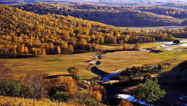 塞罕坝,林场,割灌机,林业有害生物,幼苗,苗木,守望,望海楼,防治病虫害,飞机防治