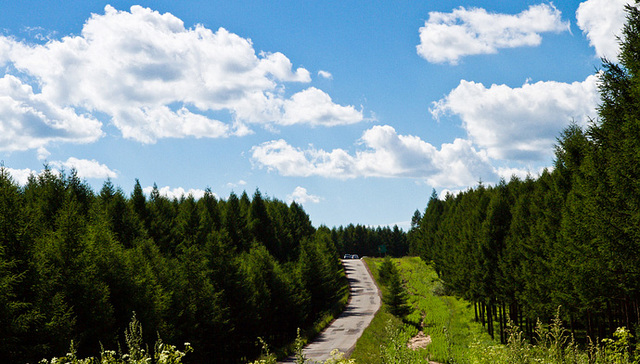 塞罕坝,生态文明,视频,薪火相传,林场,上坝,启示录,机械造林,森林火灾,高等教育