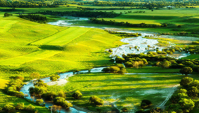 塞罕坝,七星湖,荒原,氧吧,出世界,造林,重阳赋,根河,浑善达克沙地,水草丰美