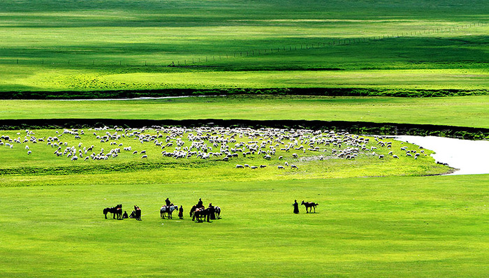 呼麦,1983年,蒙古族,相知,光明日报,民族团结进步,汉族,各民族,,,普通高校