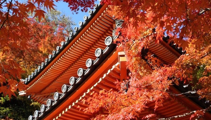 新潟县；捷星航空