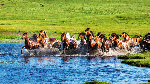 【图解】骏马奔腾70载 风华正茂内蒙古