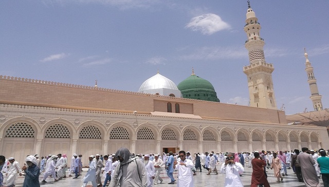 沙特,中东经济多样化