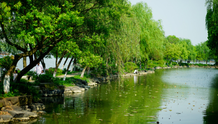 嘉兴：“海绵”能治水 更治城市病