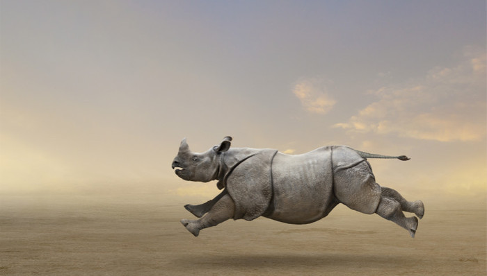 灰犀牛,金融,中国经济