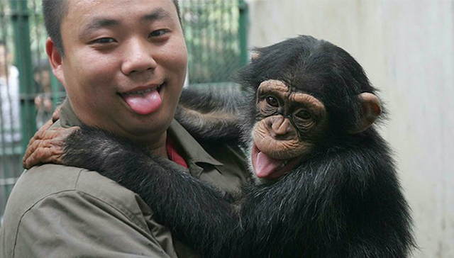 成都动物园,岳老三,视频,丰容,刻板行为,天龙八部,环境意识,游客,萧远山,iframe