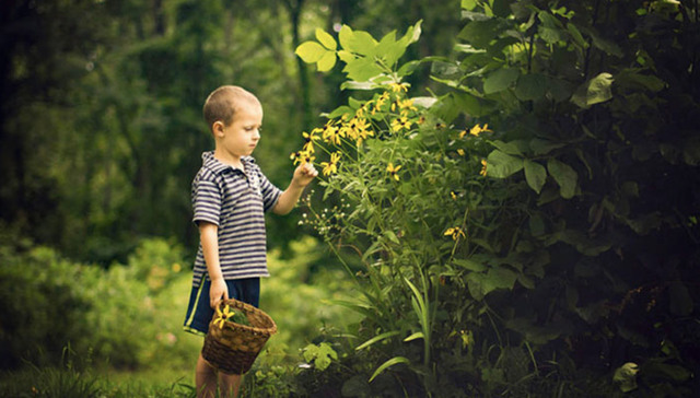摄影是一件很专业的事情，谢谢