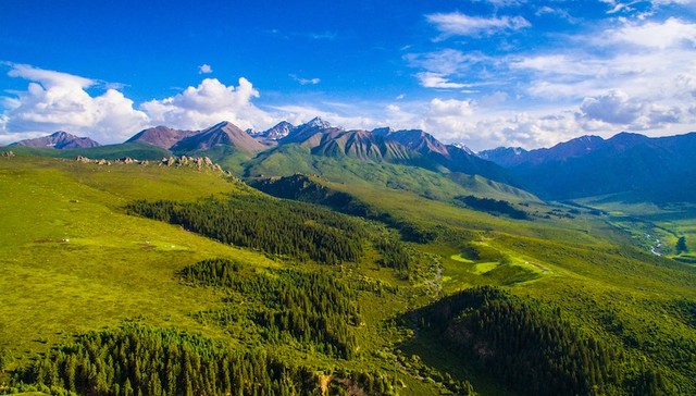 祁连山,保护区,清退,矿业权