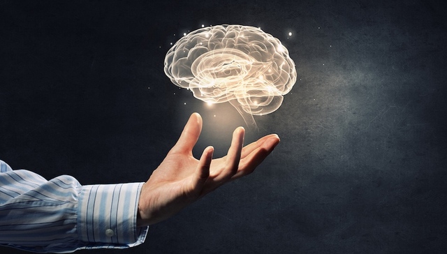 打开右脑,脑立方,套路