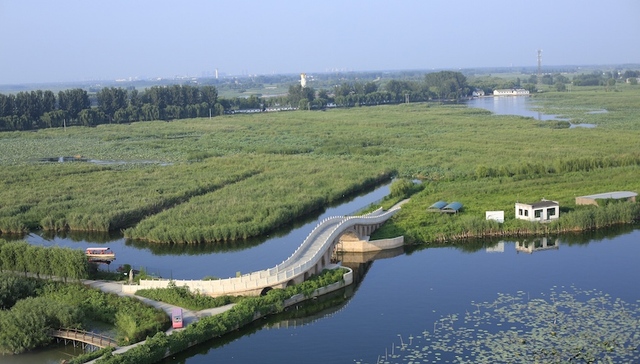 警方通报雄安污染环境案：公职人员与企业勾结 10人被刑拘