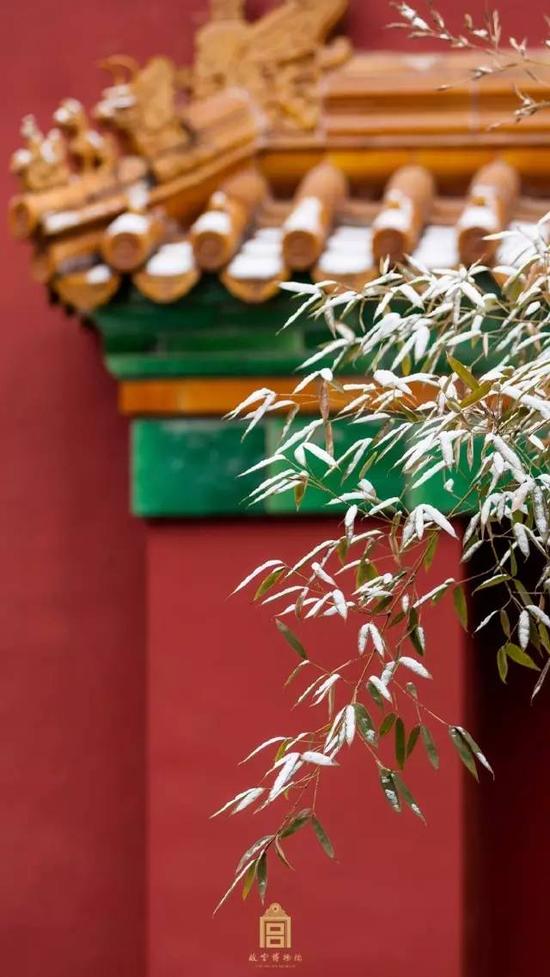 另外据地震所的专家说，其实故宫里的内饰，例如用长铁钩垂吊着的宫灯也有防震效果 。