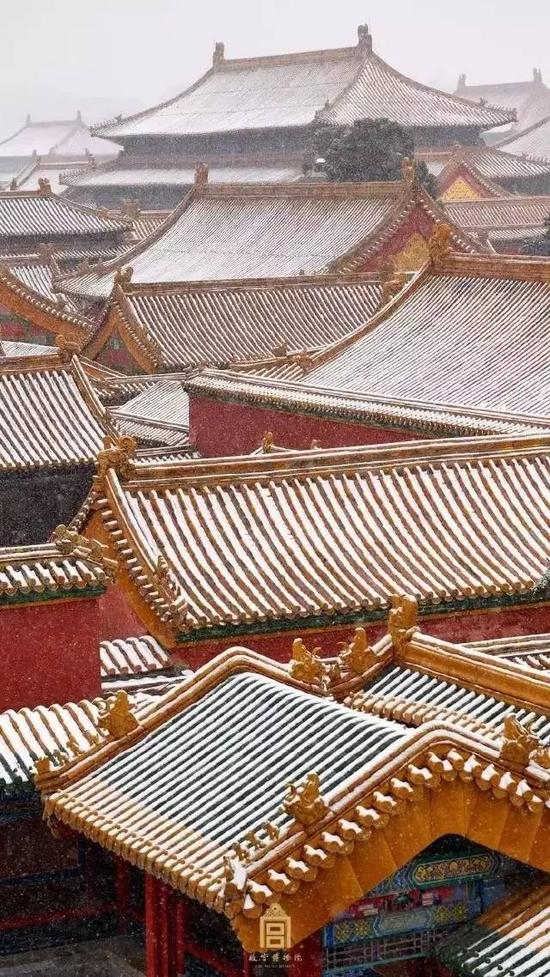 每一个黄皮肤、黑头发的中国人，都应该去紫禁城里走一走。