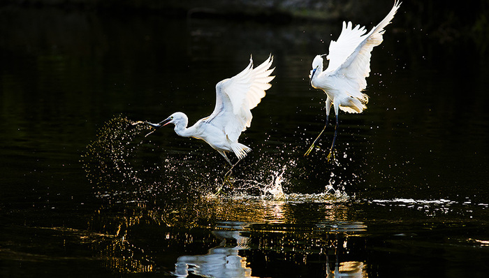 生态文明观,中国共产党人,新阶段,画卷,绿色,生态功能区,领导干部,流域,生态补偿,中国特色社会主义