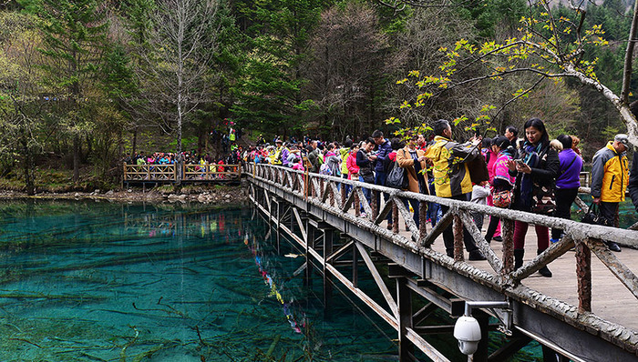 九寨沟地震,旅游业