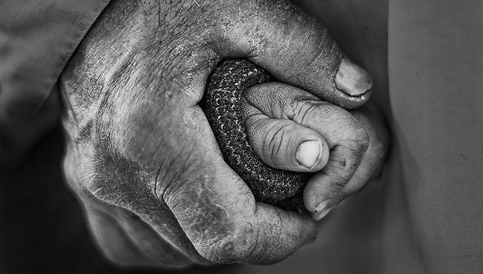 反贫困,贫困人口,决战,斗争,联合国人权理事会,土地流转,反侵略,中国共产党人,贫困农民,村民