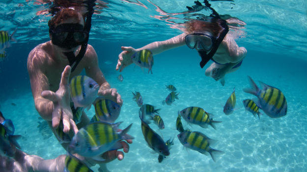 从精酿啤酒半日游到健身客房 当下火爆的旅行项目都是微小趋势中的金点子