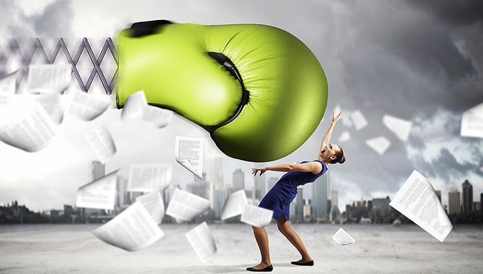 教育部,传销组织,招聘求职