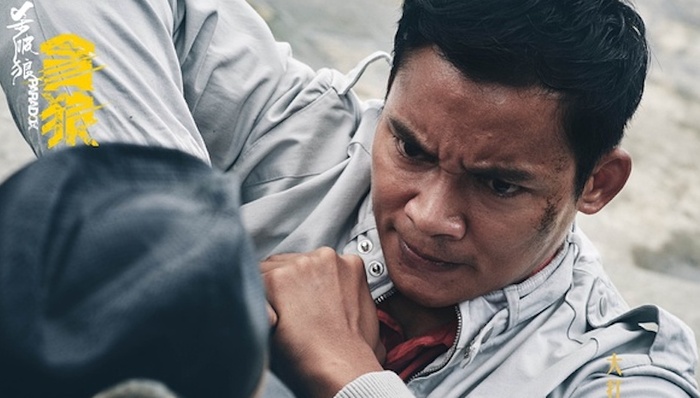 贪狼,杀破狼,暴力美学,狼性,系列电影,黑客帝国,ip,林家栋,吴樾,战狼2