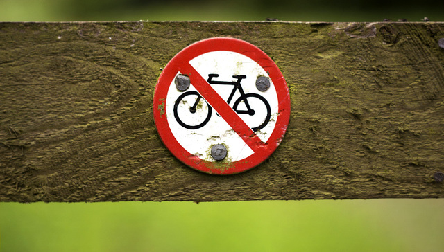 单车,摩拜,天涯论坛,失联,丁万青,丁伟,丁金玉,豪车,腾讯,垃圾