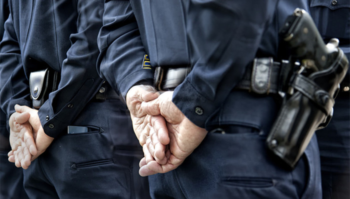 中国游客,美国警察,殴打,政府赔偿