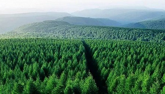 冯秋子,生态文学,塞罕坝时间,8月,散文家,茅盾文学奖,报告文学作家,风光照片,刘醒龙,先进人物