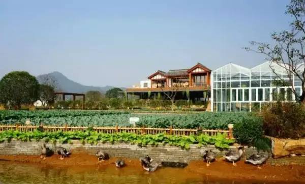 宋卫平的第一个“田园综合体”究竟长什么样