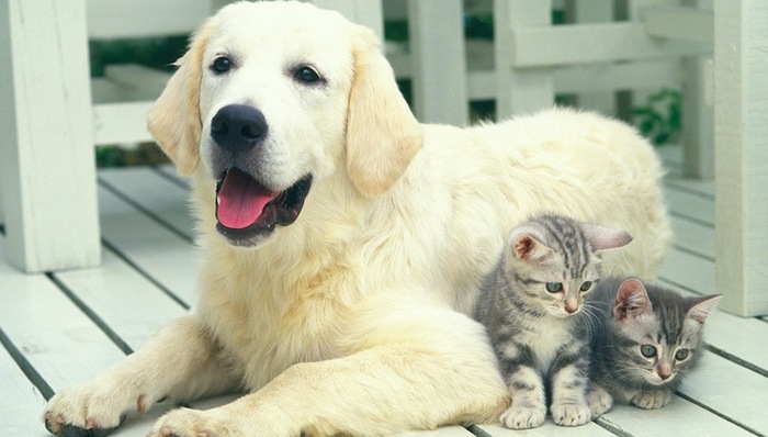 美国经济,经济世界观