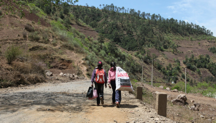凉山,,格斗孤儿