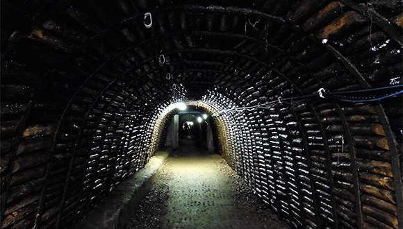 重金属,悉尼,石蛾,超标,污染元素,煤矿,鱼类,污水排放,物种,毒性