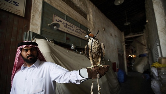断交危机下融资难 卡塔尔银行业瞄向东方金主