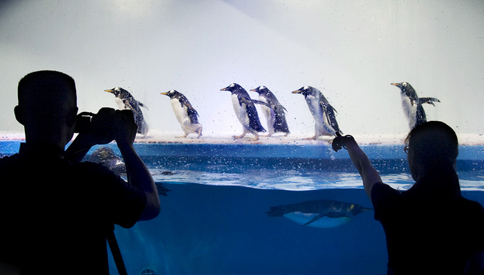 正佳广场；旅游目的地；