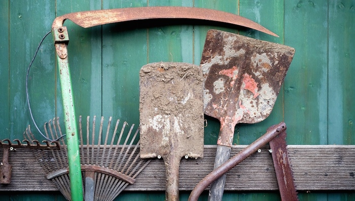 天下故事,惊奇的发现