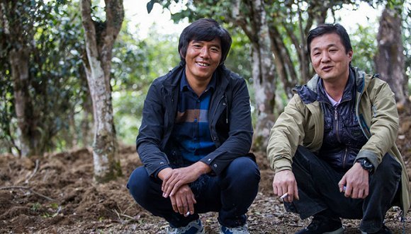 茶亲故事：因茶结缘的陌生人