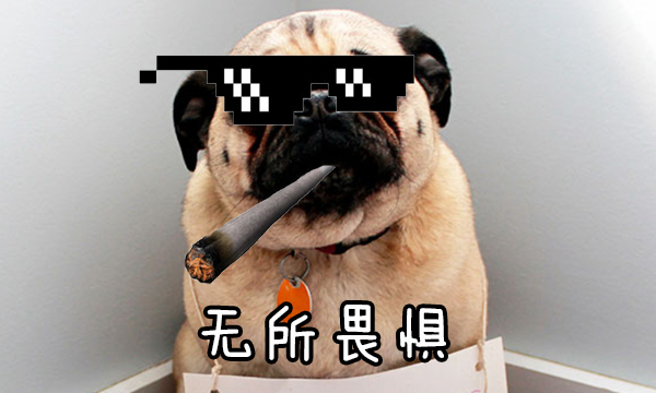 狗子才是真正的badass