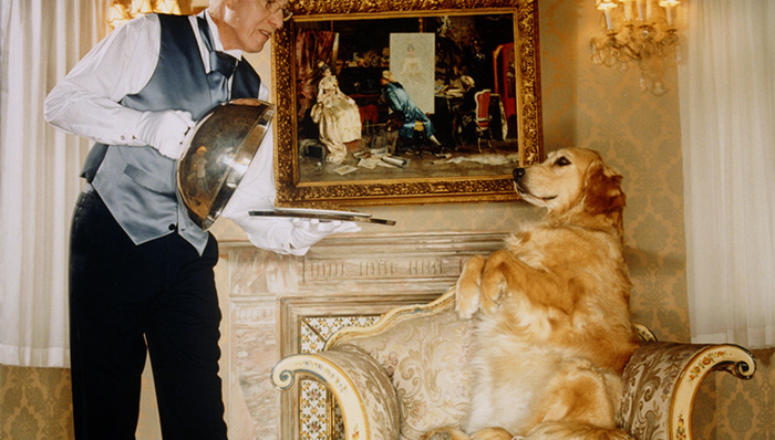 旅行,雅高,酒店业务