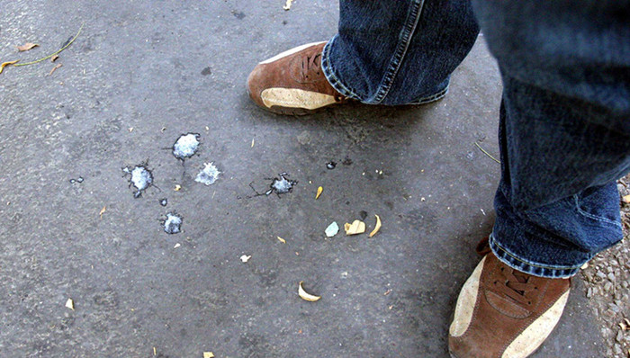 海底捞,道歉,珠海酒店,灾难财,共享单车,台风天鸽,随地吐痰