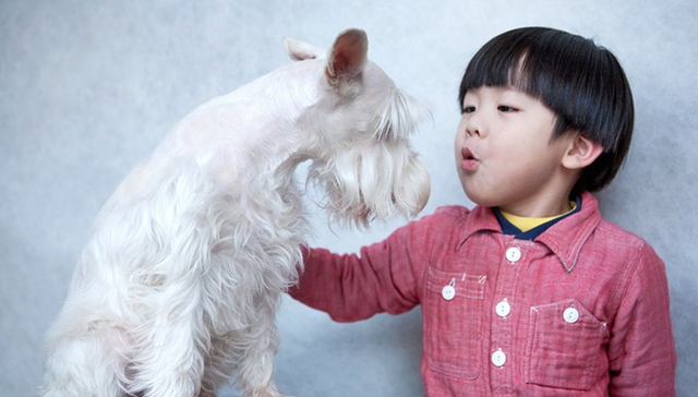 人类为什么要和动物说话 它们又听不懂