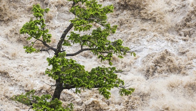 云南,盐津,失联,遇难,搜救,洪灾