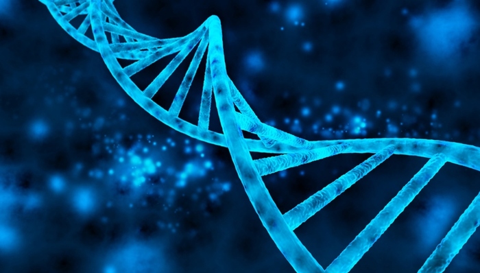 基因检测,消费级,单核苷酸多态性,GWAS,slogan,WeGeneCEO,基因分型,基因缺陷,基