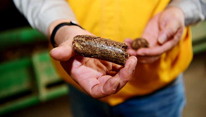 三聚环保,,生态农业