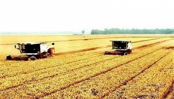 集体用地、租赁住房