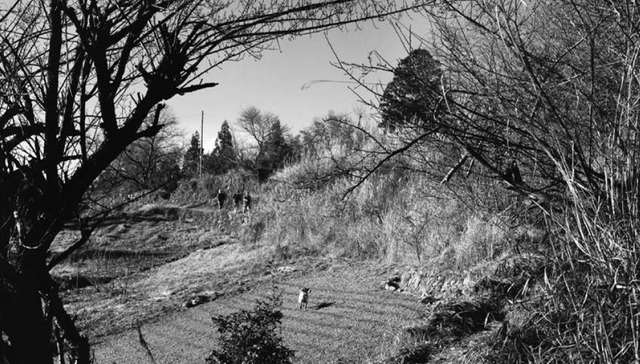 中平卓马：对旅游摄影我只感到轻蔑 必须克制旅途中过剩的浪漫