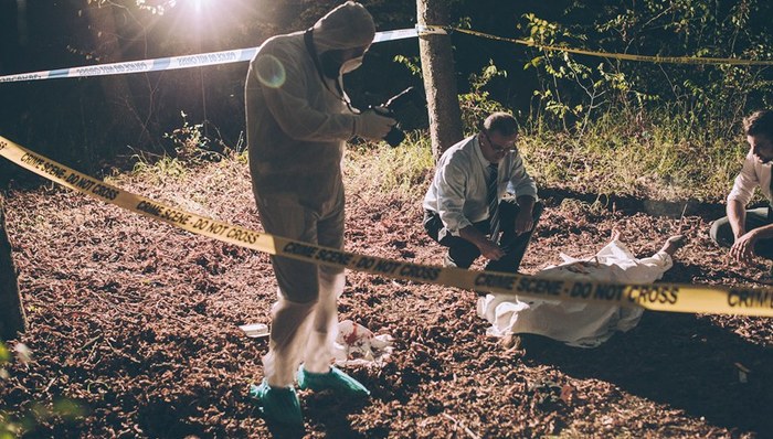 新西兰,韩国,中国