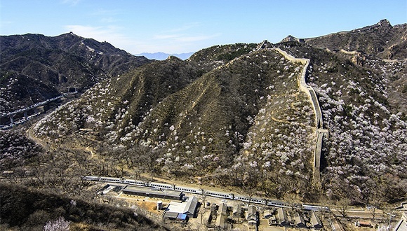 断面型式,岩体,预应力锚索,大跨,到发线,钢筋,地下城,点位,围岩