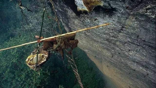 喜马拉雅山,尼泊尔,蜂蜜猎人