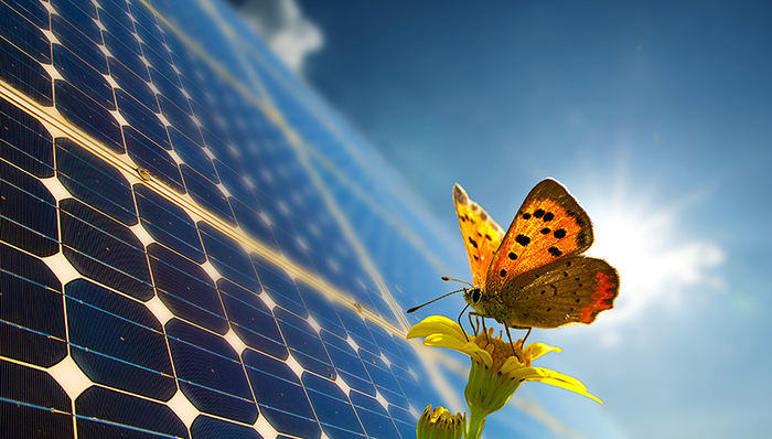 光伏,上市公司,中报,财报那些事