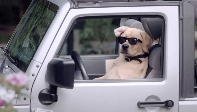 出租司机的脑回路，我跟不上啊...