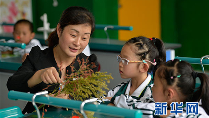 小学科学,铁架台,课堂教学评价,金鹏科技,激发学生的学习兴趣,进课堂,科学教师,科学探究,课时,科学