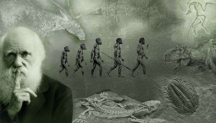 进化论,科学新知